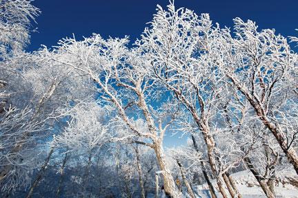 京城有冬游赏雪的雅俗 且有多处赏雪的好去处