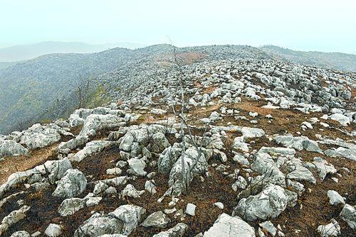 我国石漠化土地面积为1007万 5年间石漠化土地净减少193.2万公顷