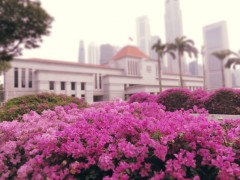 字节学院与渣打银行和技术重量级企业合作，在新加坡的金融科技园区